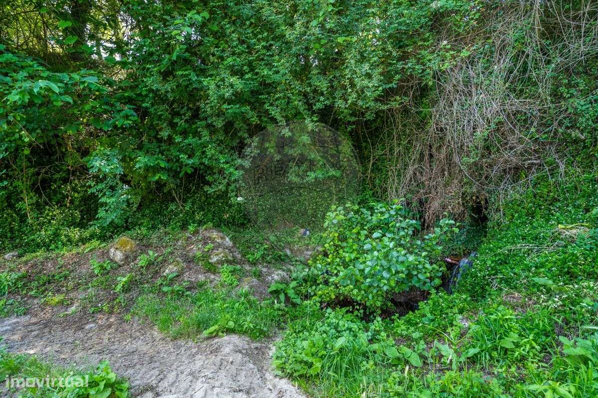 Terreno  para venda - Grande imagem: 4/35