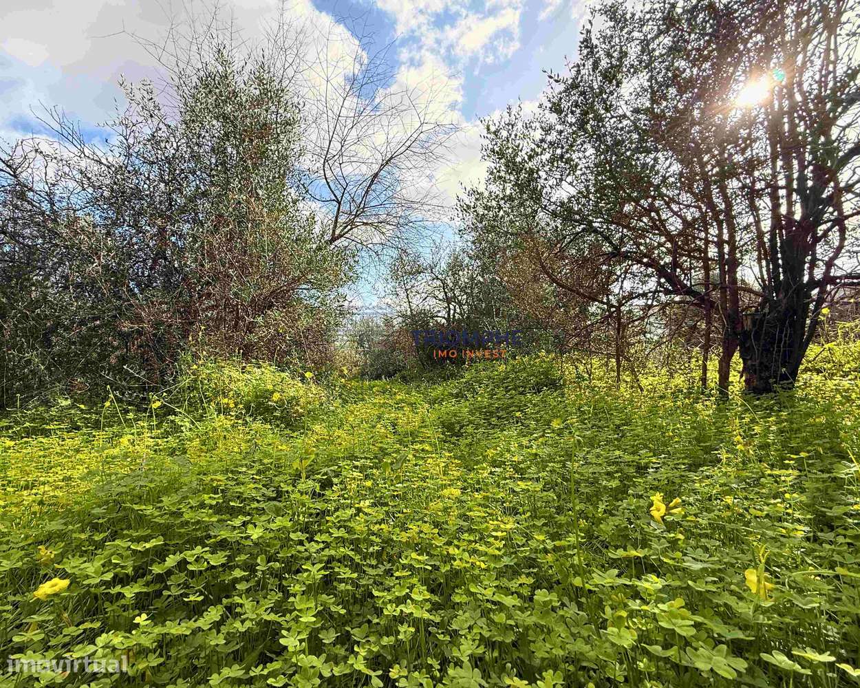 Terreno para Construção de 1.260 m² em Alcantarilha - Grande imagem: 3/6