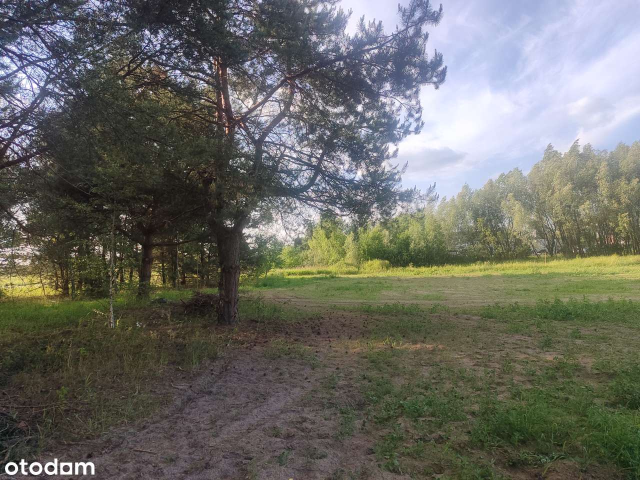 Działka budowlana między S7 a Parkiem Kampinowskim. - Pełny obrazek: 4/5