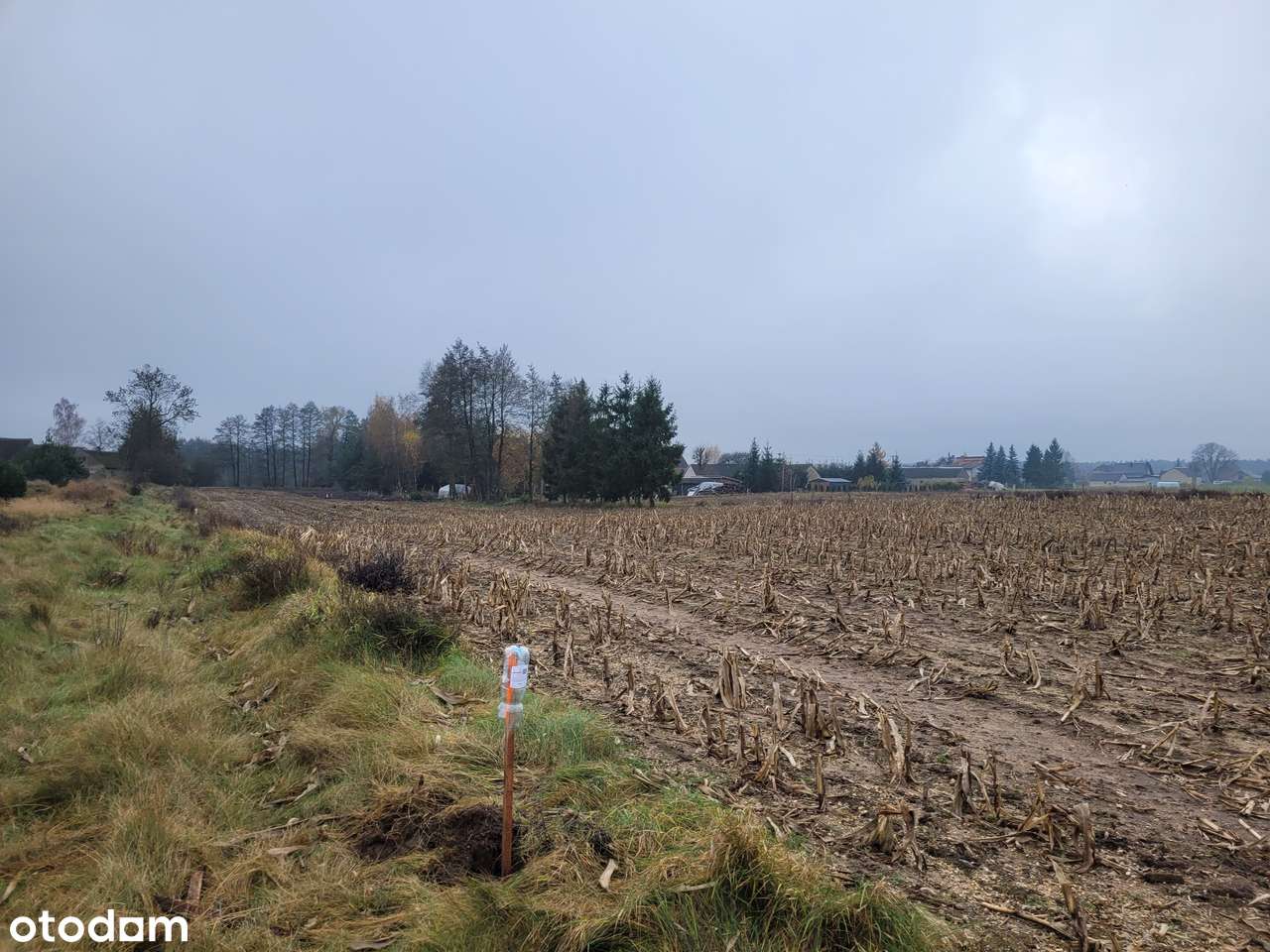 GOŁĄBKI na sprzeedaż działka budowlana 950m2-14
