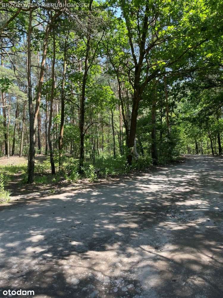 Białołęka, 1420 m2, Wz dom wolnostojący-8