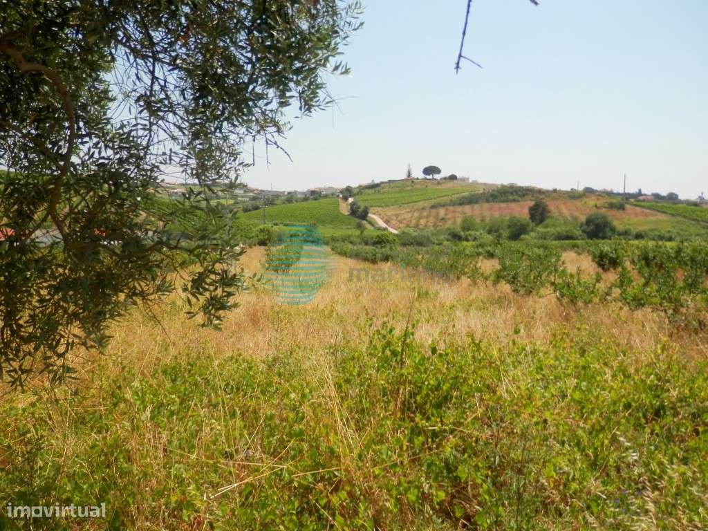 Terreno com 7.980 m2 de área, Turcifal - Grande imagem: 2/12