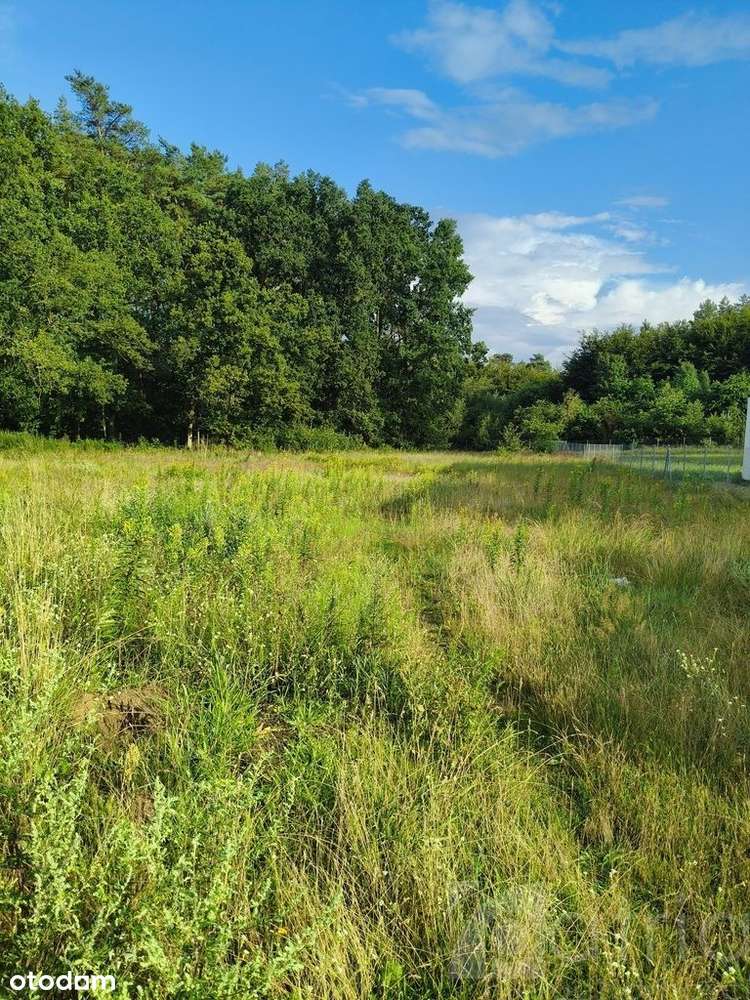 Tanowo – 2440 m2 działka uzbrojona przy lesie-8