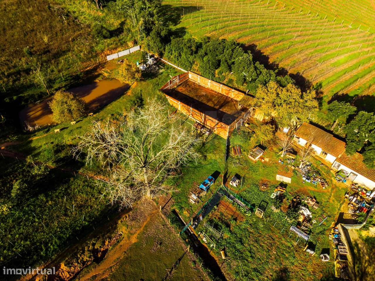 Moradia em ruínas num terreno de 10.699m2-3