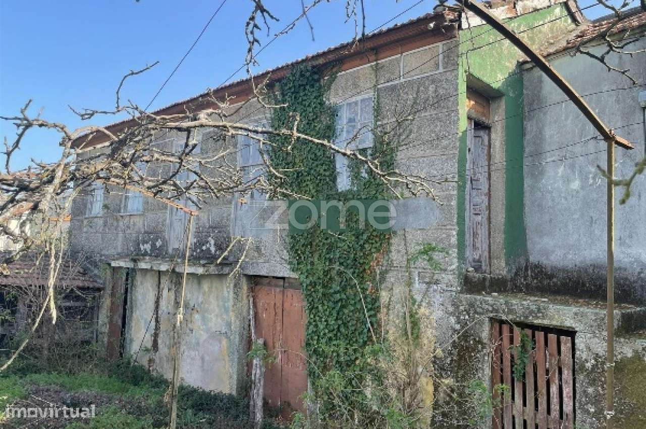 Moradia em ruína - Gogim, S.Martinho de Chãs, Armamar - Grande imagem: 5/23