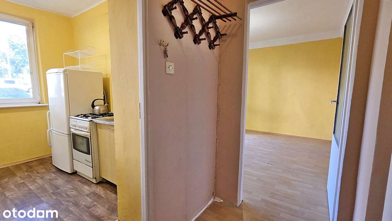 Z potencjałem na 2 pokoje | Świetna lokalizacja blisko "Emki" | Loggia - Pełny obrazek: 5/11