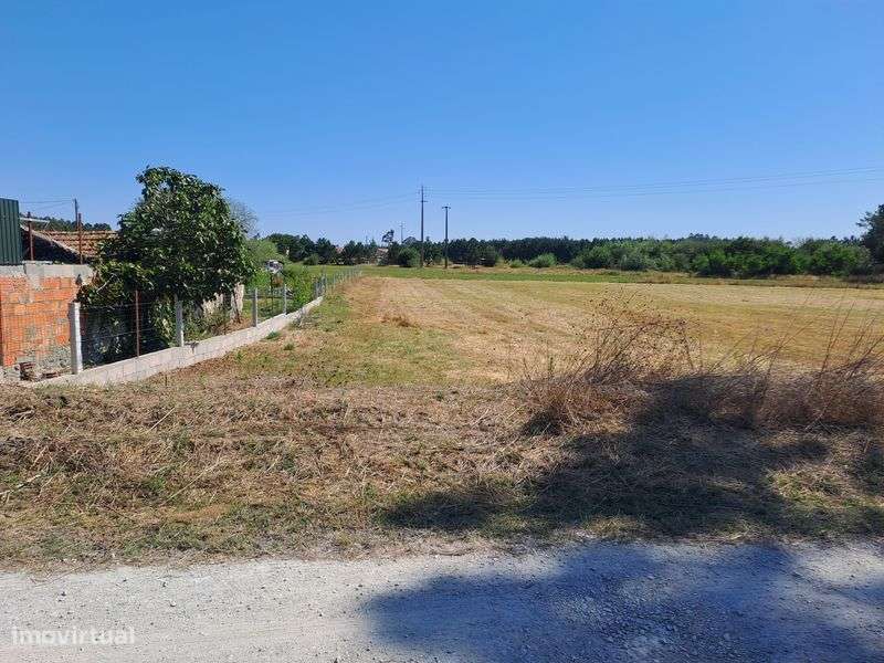Terreno Rústico e Urbano - Grande imagem: 5/5