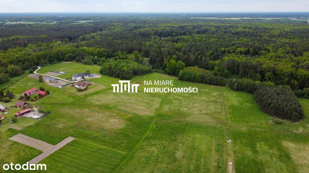 Duża działka rolno-budowlana, W trakcie WZ, 1.2 ha - Pełny obrazek: 4/9