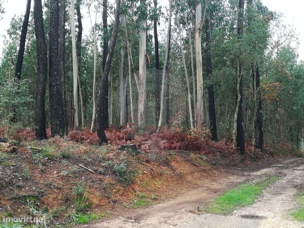 Terreno  para venda - Grande imagem: 3/3