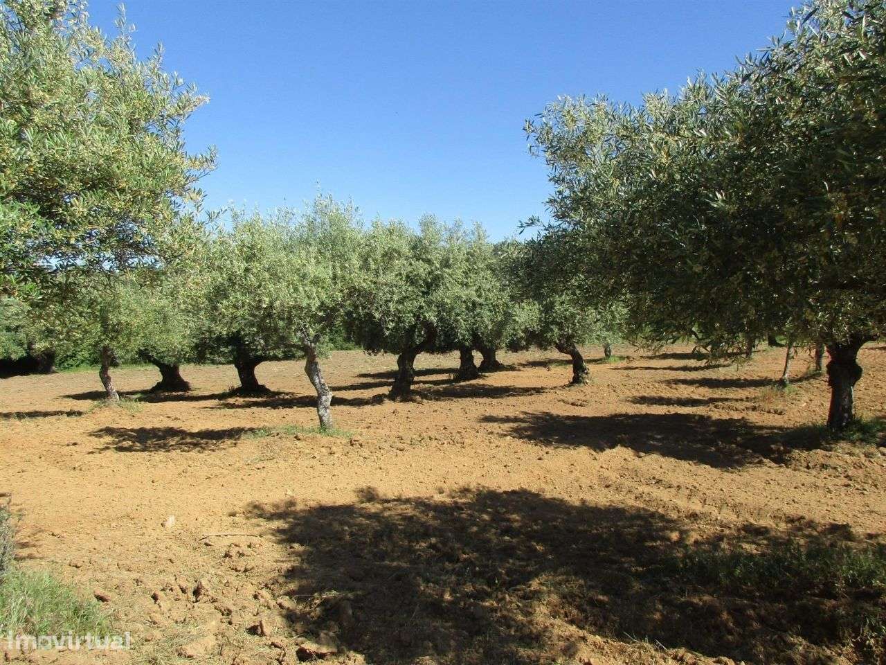 Quinta - Grande imagem: 3/10