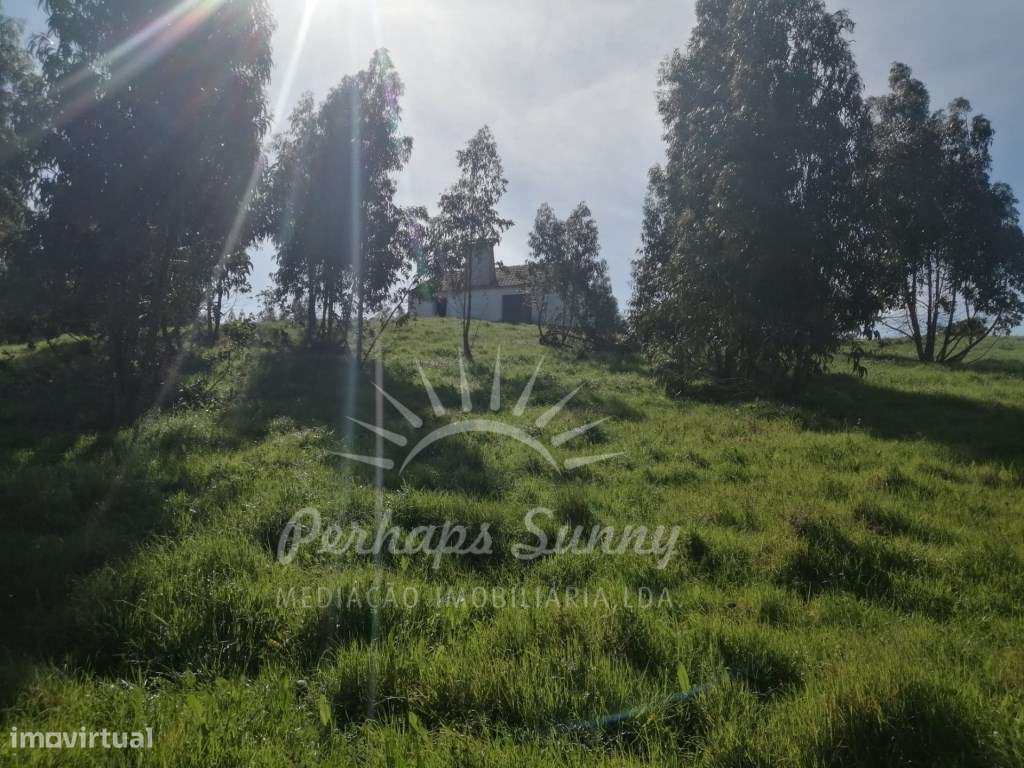 Quinta com casas para recuperar - Grande imagem: 2/47