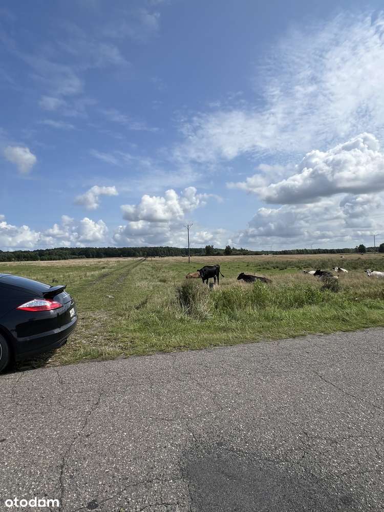 Darłowo/ Krupy dojazd asfaltowy , dojazd do morza, Darłowa 10 minut-1