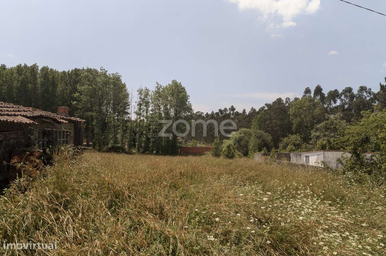 Terreno em zona tranquila na Maceira, a poucos minutos de Leiria - Grande imagem: 4/20