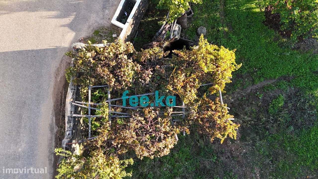 Terreno em Vale Figueira-8