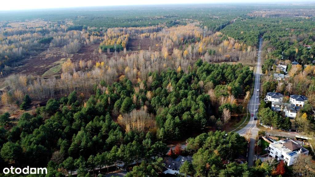 Dąbrowa Leśna, w Kampinoskim parku, MPZP, Unikat!!-6