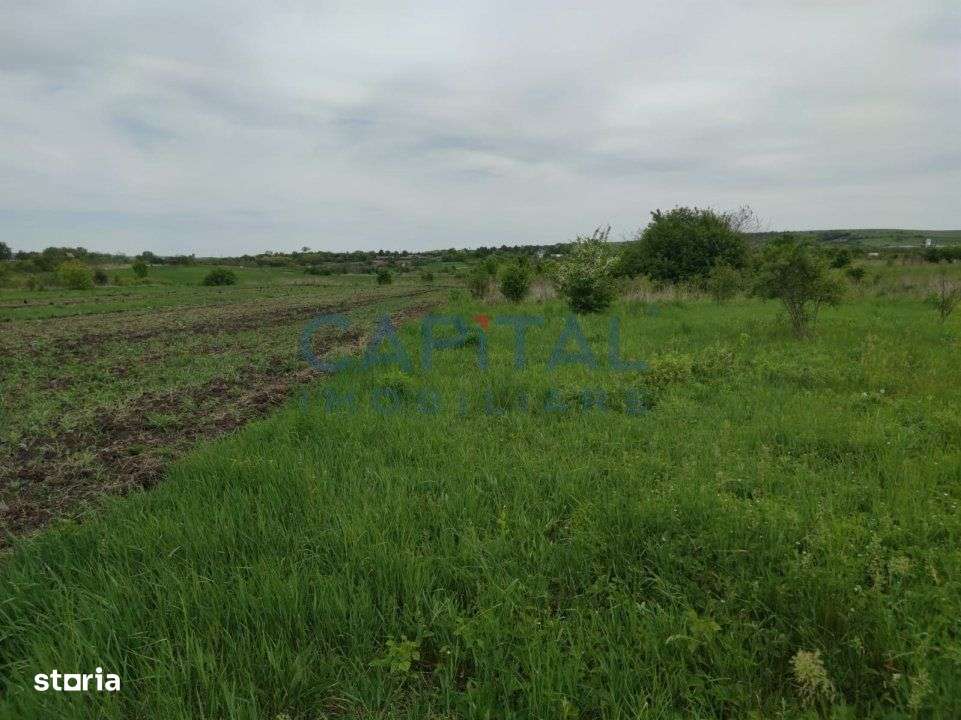 Comision 0%! Oportunitate, teren intravilan, 800 mp Masterplan, Sopor - Imagine principală: 3/5