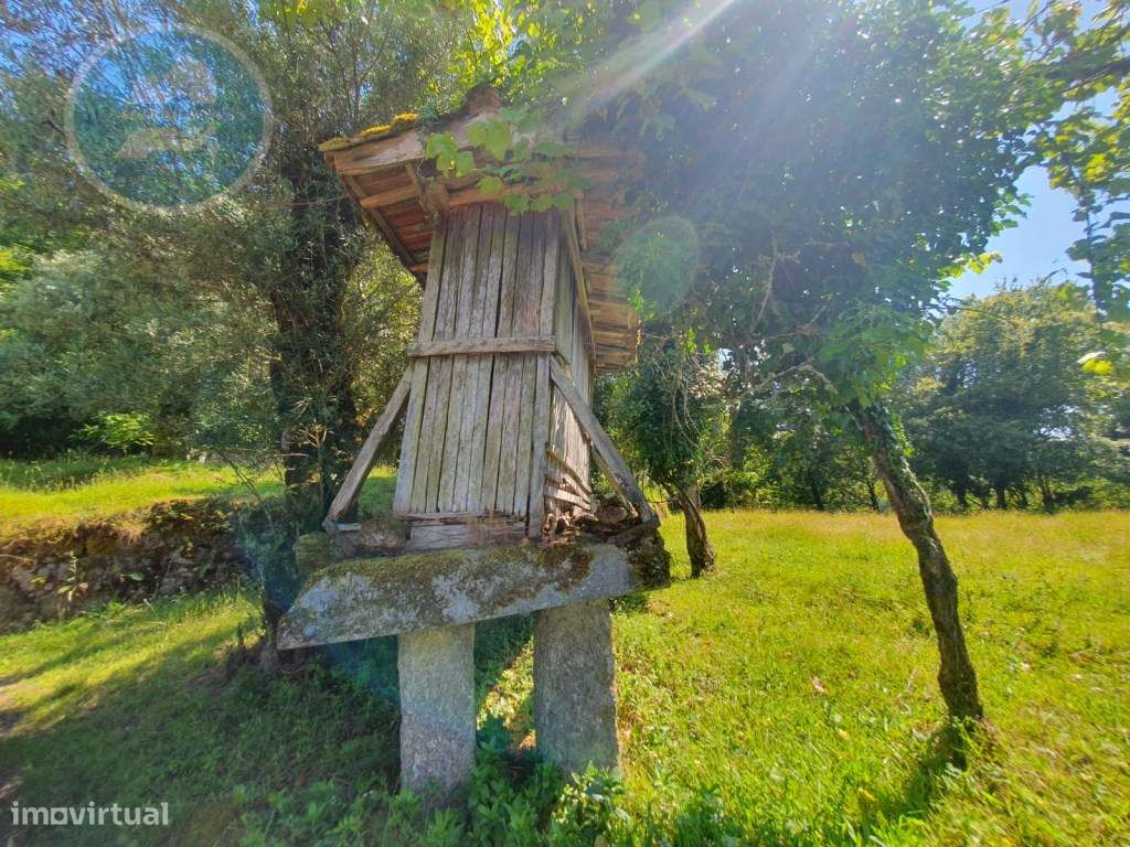Quinta à venda para restauro em Arroteia freguesia de Rossas-13