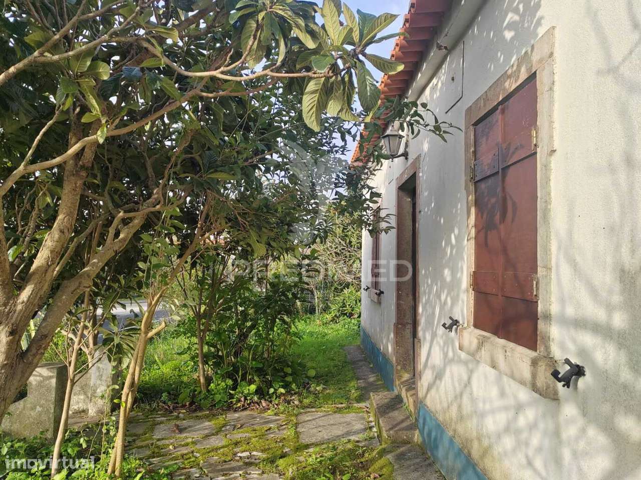 Quintinha / Terreno com  23000m2  e moradia T3 - Grande imagem: 4/23