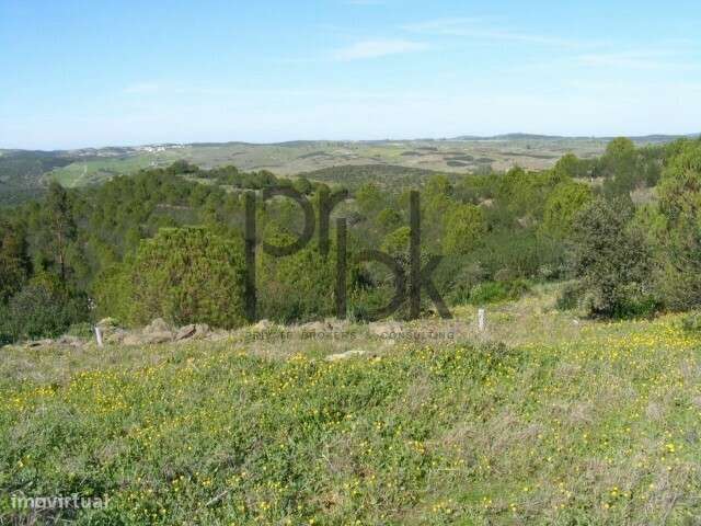 Herdade Montinho do Pascoal-12