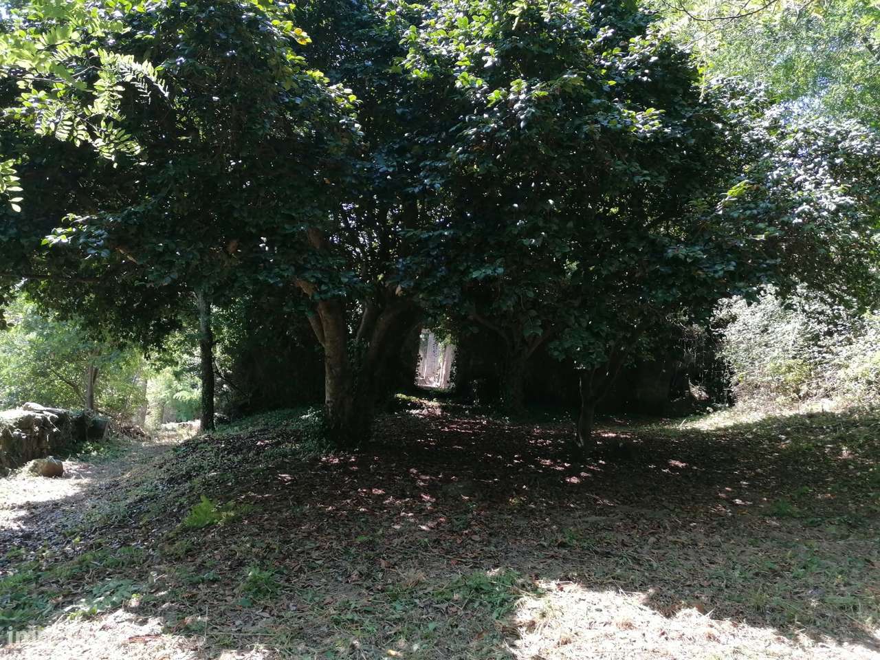 Quinta  Venda em Penhalonga e Paços de Gaiolo,Marco de Canaveses-46