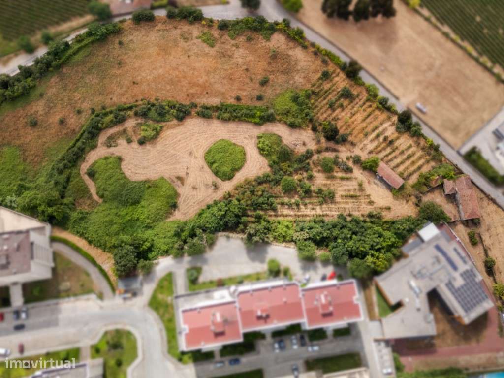 Quinta histórica em Penafiel-14