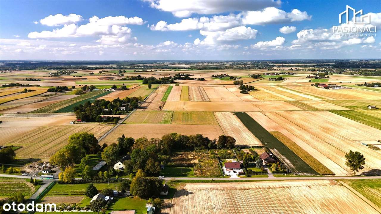 Atrakcyjna działka budowlana w Górne, gm. Milejów - Pełny obrazek: 4/10