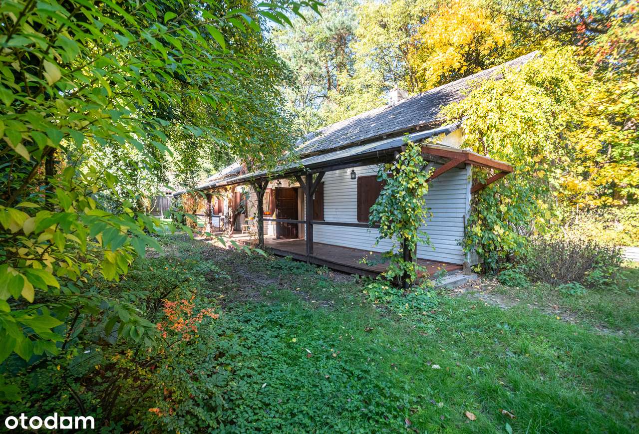 Malownicze siedlisko pod Łowiczem-7