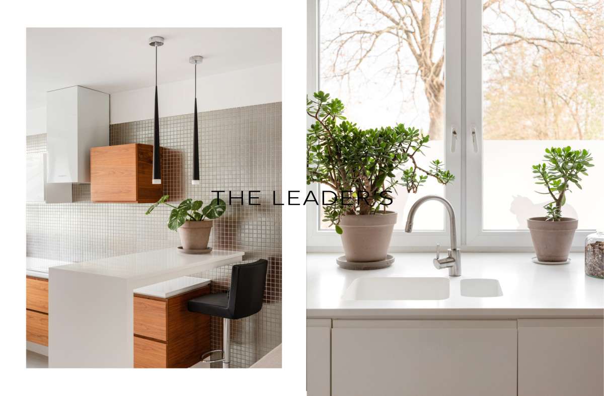 Dom w mieście z widokiem na starodrzew | Ochota - Pełny obrazek: 4/20