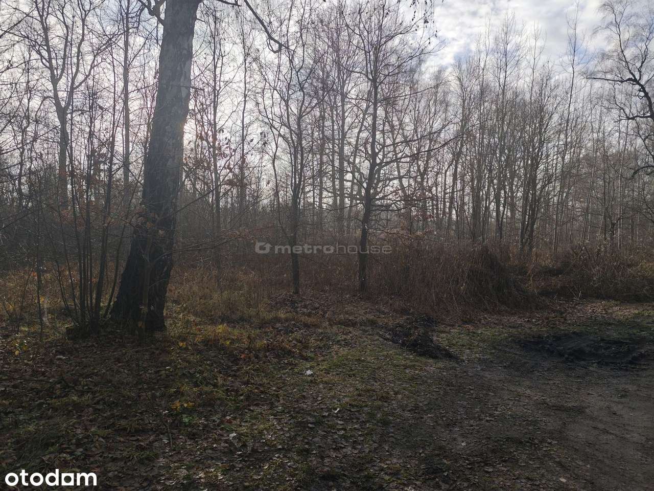 Działka na sprzedaż, Chruszczobród1 - Pełny obrazek: 4/6