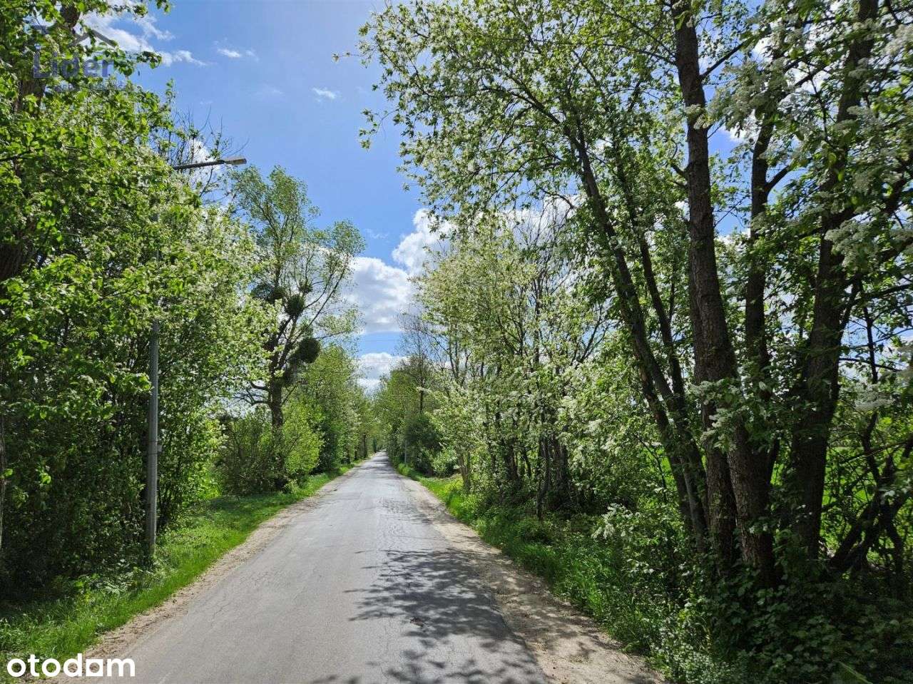 Działka Wielka Nieszawka, w otoczeniu lasu - Pełny obrazek: 2/11