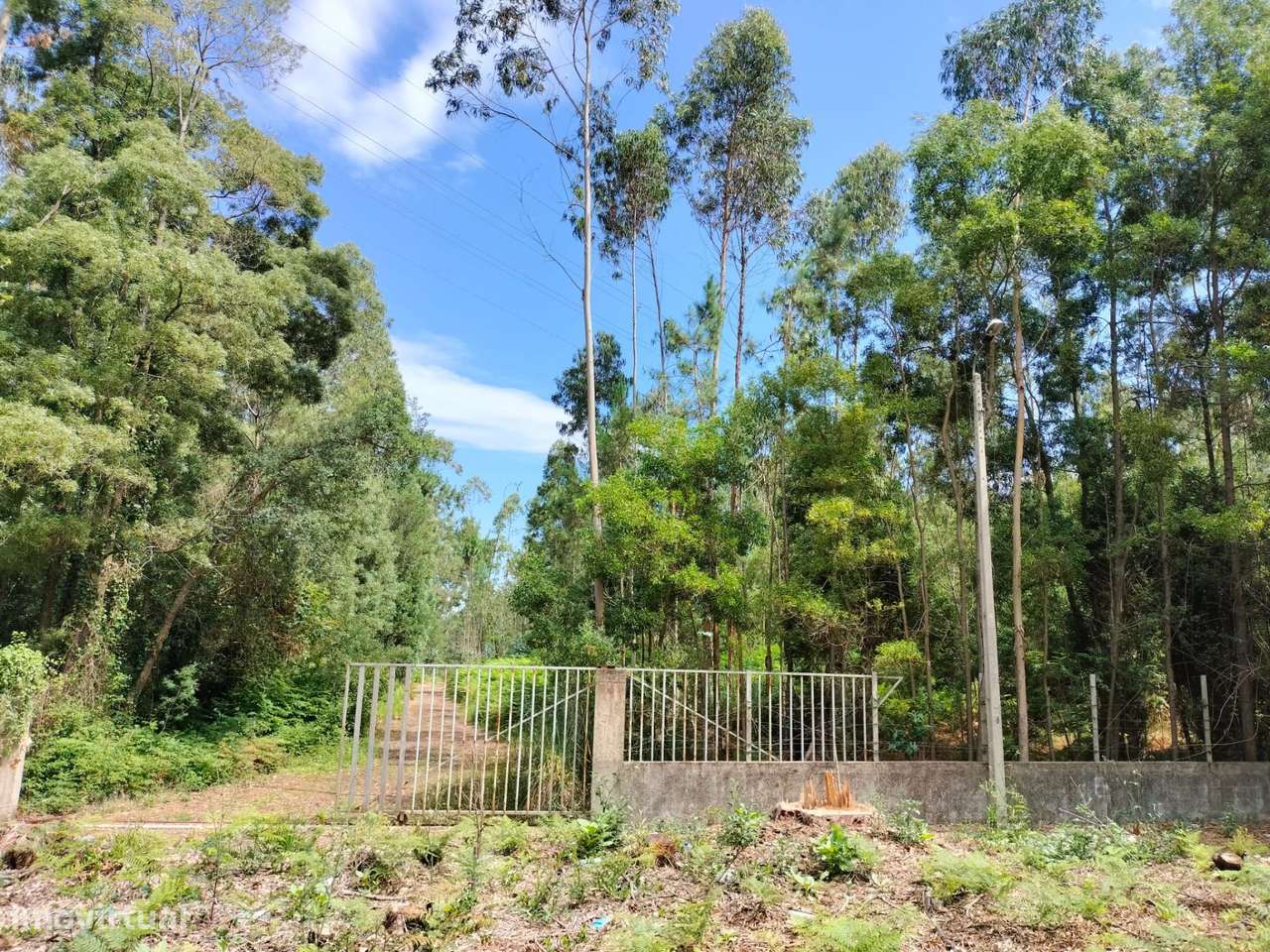 Terreno com mais de 12.000 m2 em Idanha, Espinho-3
