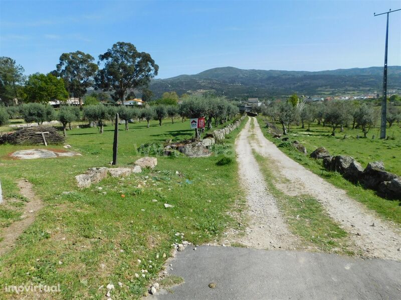 Terreno / Seia, Santa Marinha e São Martinho