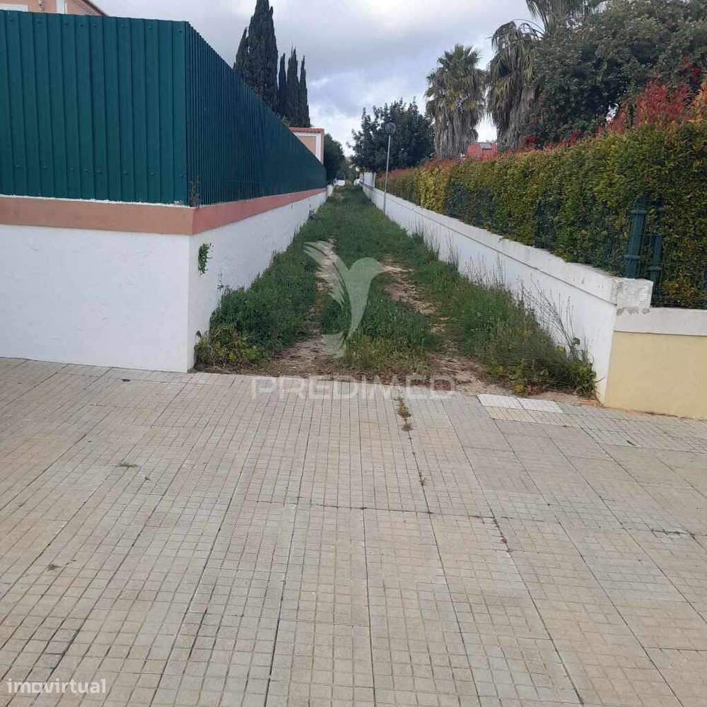 4 terrenos Rústicos  Alecrineira-Cerro Azul - Grande imagem: 5/11