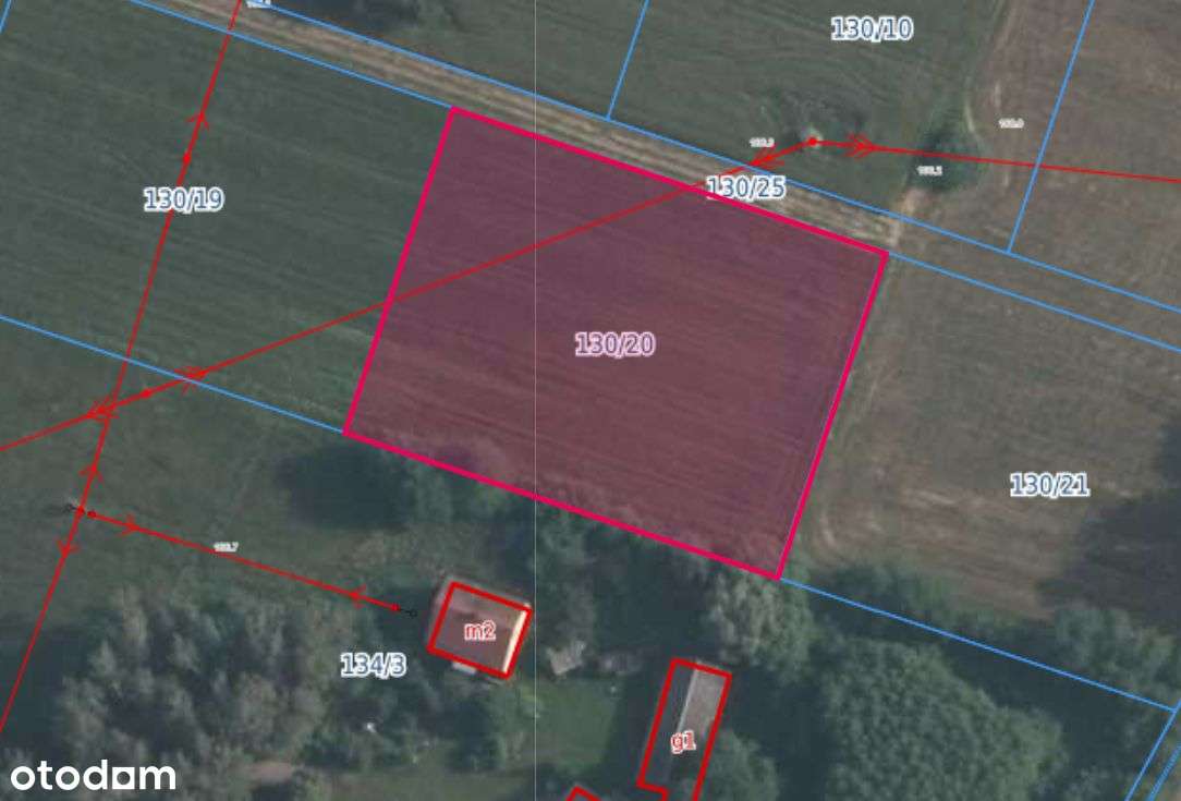 Sprzedam działki budowlane Czarnogłów gm.Dobre-4