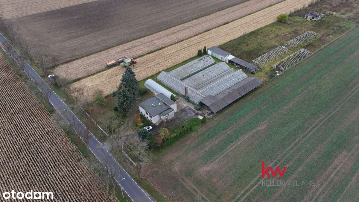 Dom/duża działka/wiele możliwości - Pełny obrazek: 4/9