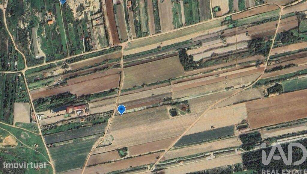 Terreno em Ferrel de 7800,00 m2 - Grande imagem: 5/30