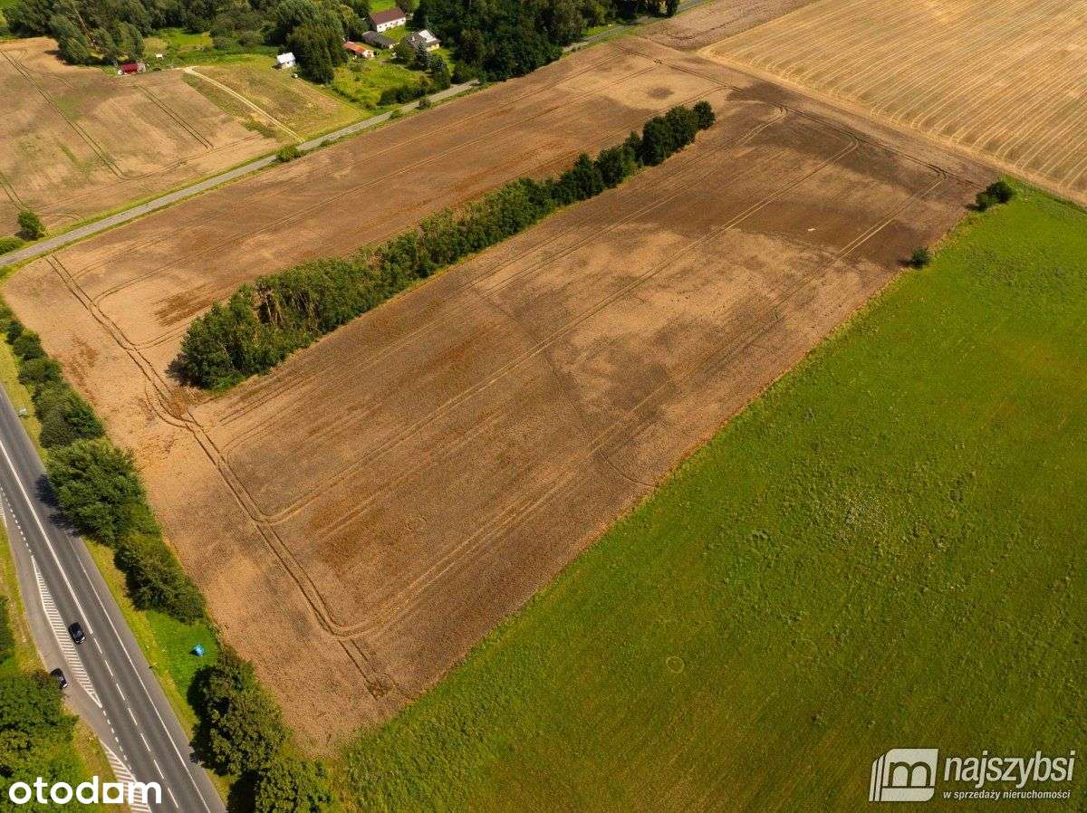 Będzin- Działka rolna na sprzedaż - Pełny obrazek: 5/16