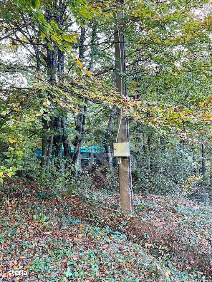 Teren pentru casa de vacanta pe Valea Bratcutei, Bihor - Imagine principală: 5/13