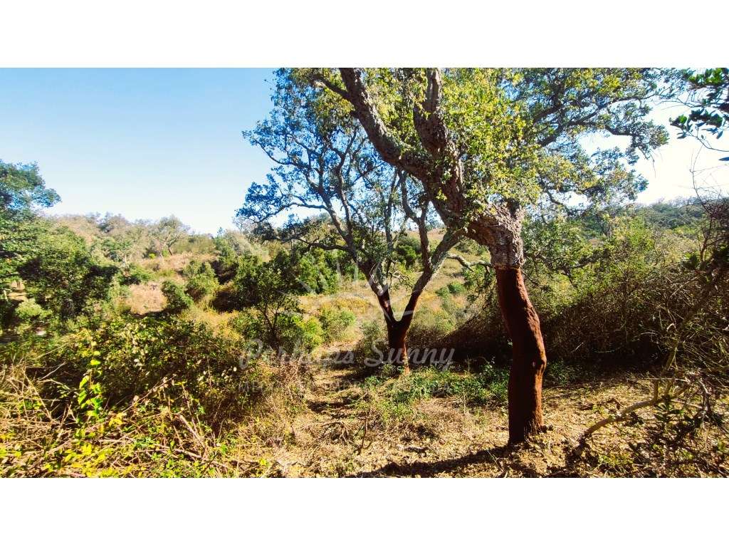 Monte Alentejano - Grande imagem: 5/24