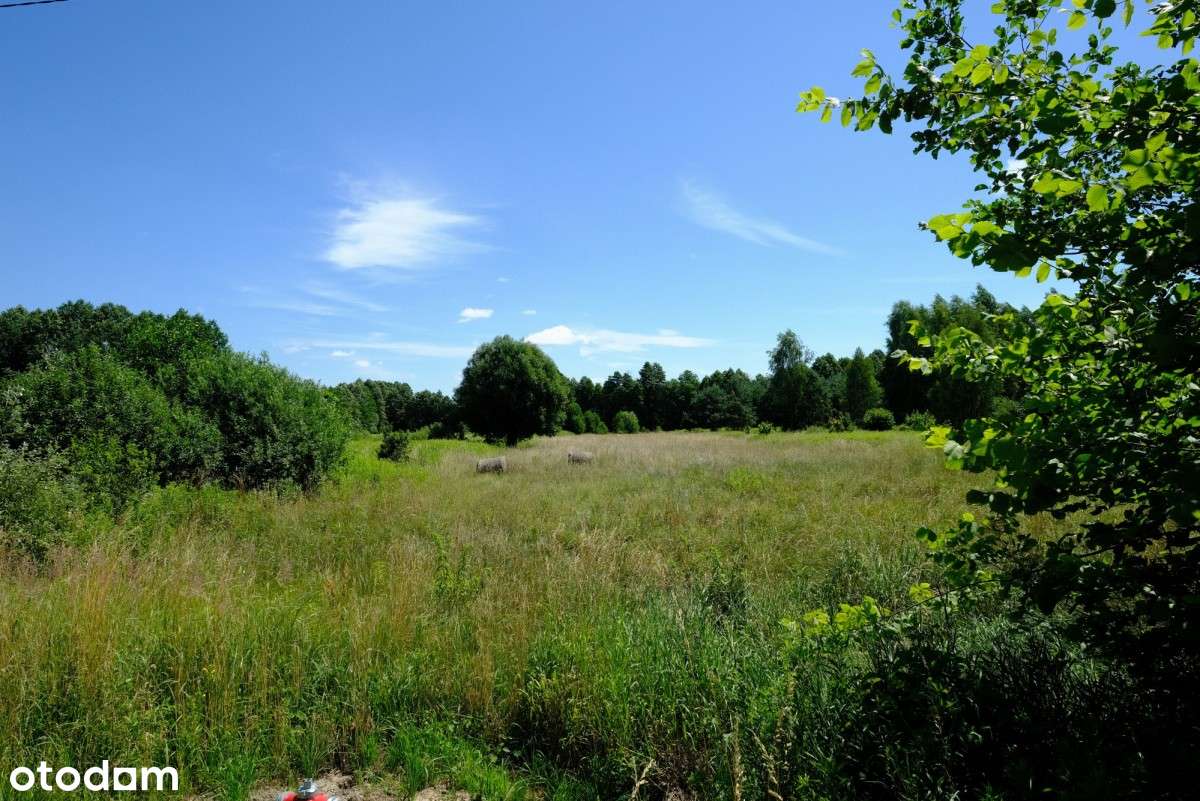 Dom Tuż przy Granicy Kampinosu (kpn)? Tak!-12