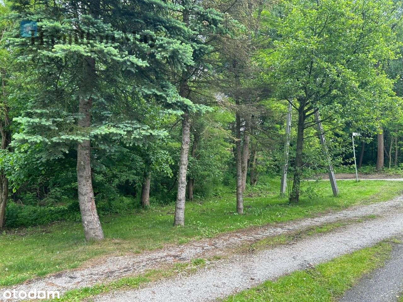 Działka budowlana 4100 m2 pod Krakowem - Pełny obrazek: 5/11