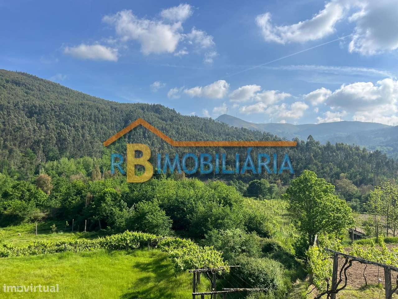 Terreno rústico em Moldes – Arouca - Grande imagem: 5/6