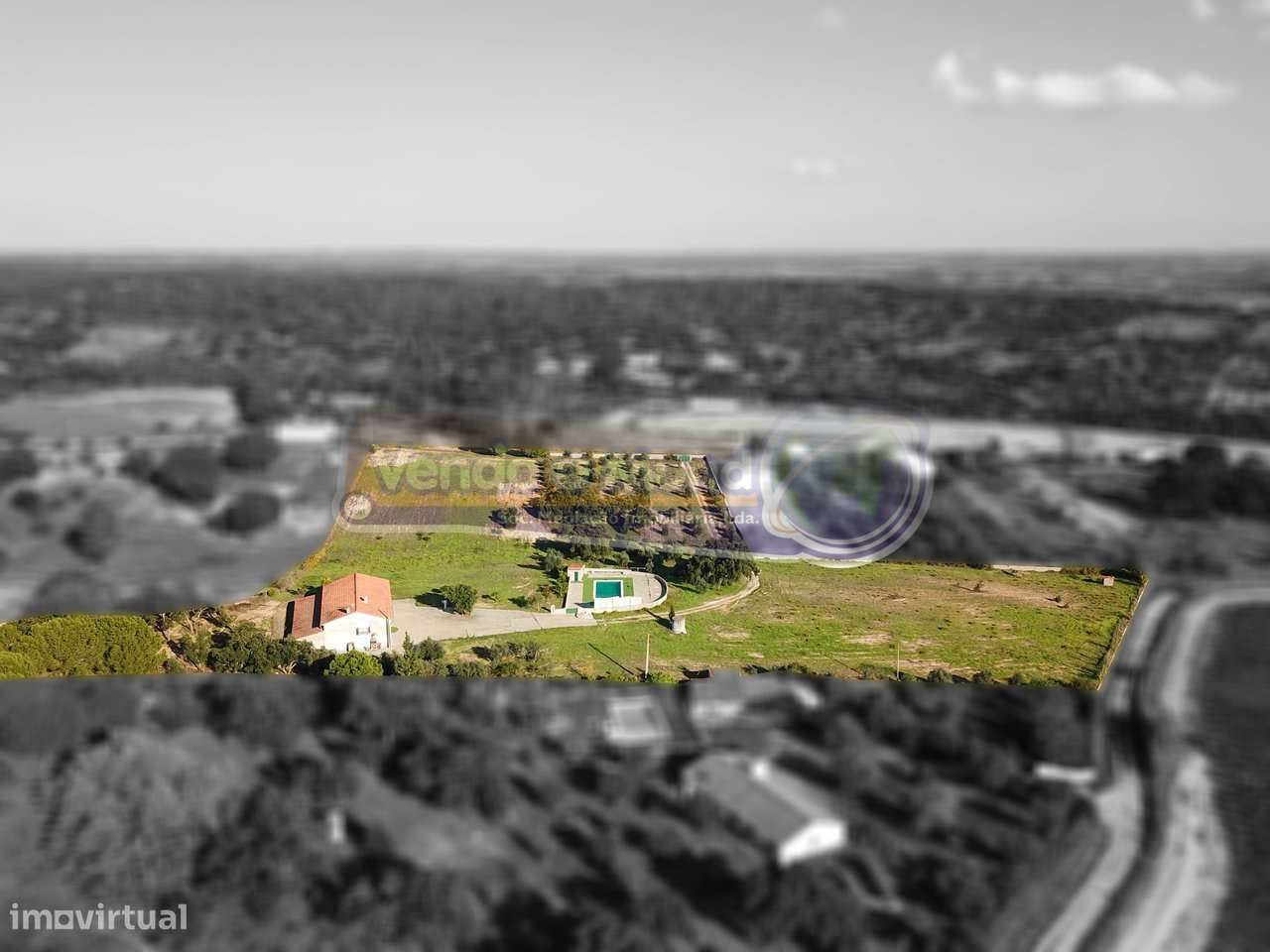 Quinta com moradia T3, armazém e piscina em cabeção (MOR061) - Grande imagem: 4/30