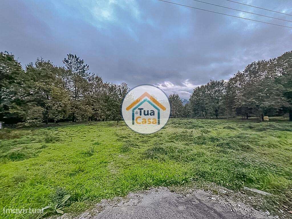 Terreno Rústico com Viabilidade de Construção em São Pedro do Sul - Grande imagem: 5/17