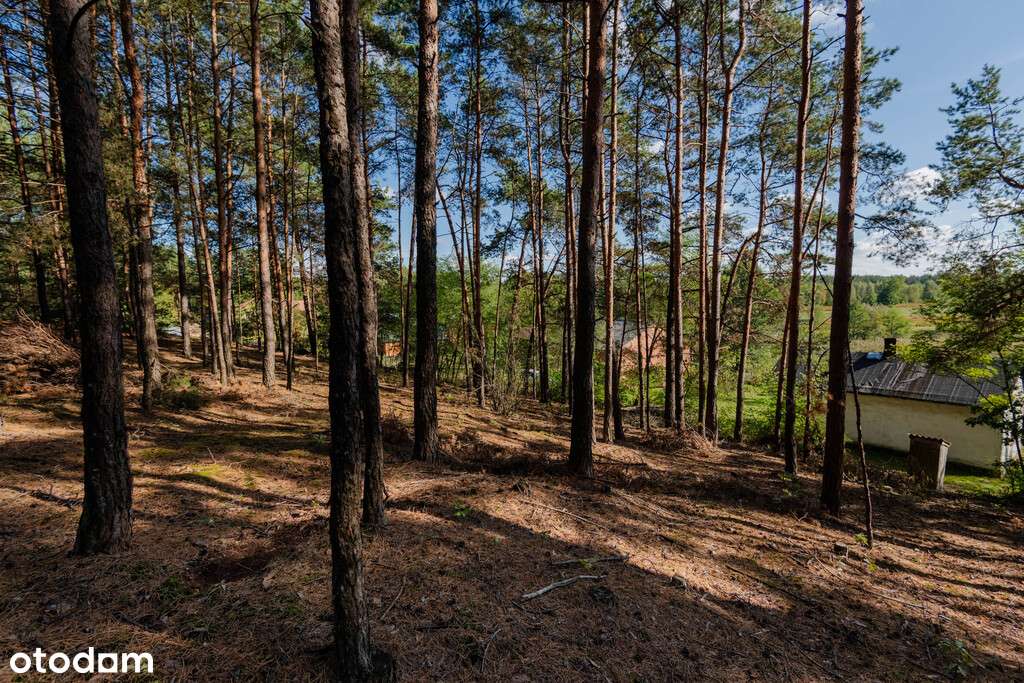 ✅ Sprawdź >>> Działka rekreacyjna (VAT) - 1602m2 ✅-8