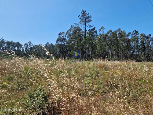 Terreno com 1.485m2 em Amor, Leiria, com viabilidade de construção de-6