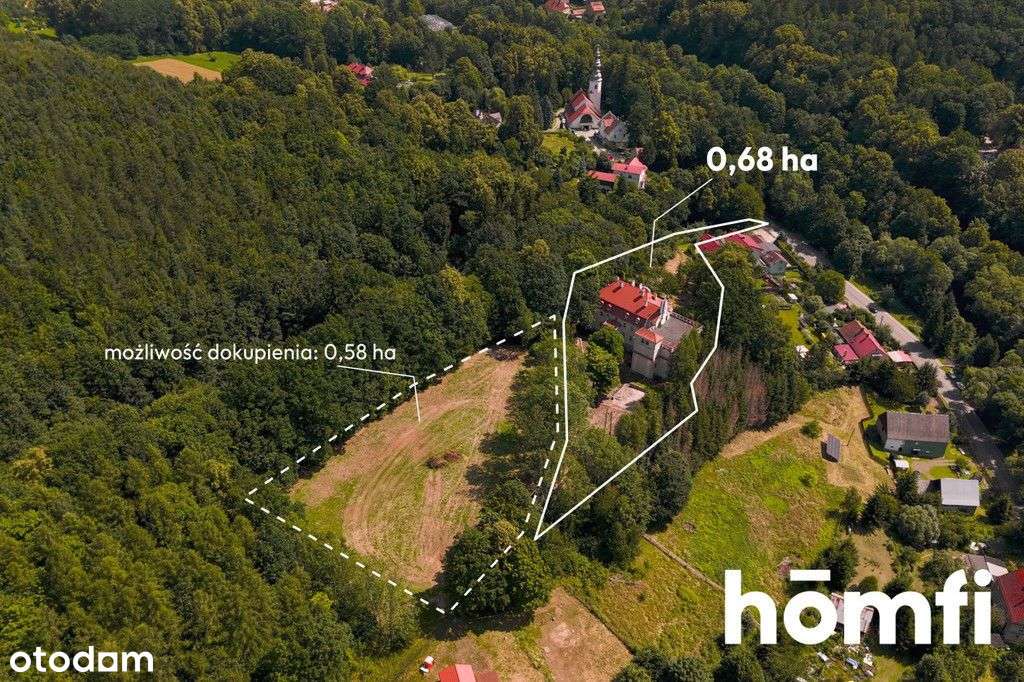 Pałac z aktualnym PnB / Dom Seniora / Hotel Spa - Pełny obrazek: 4/13