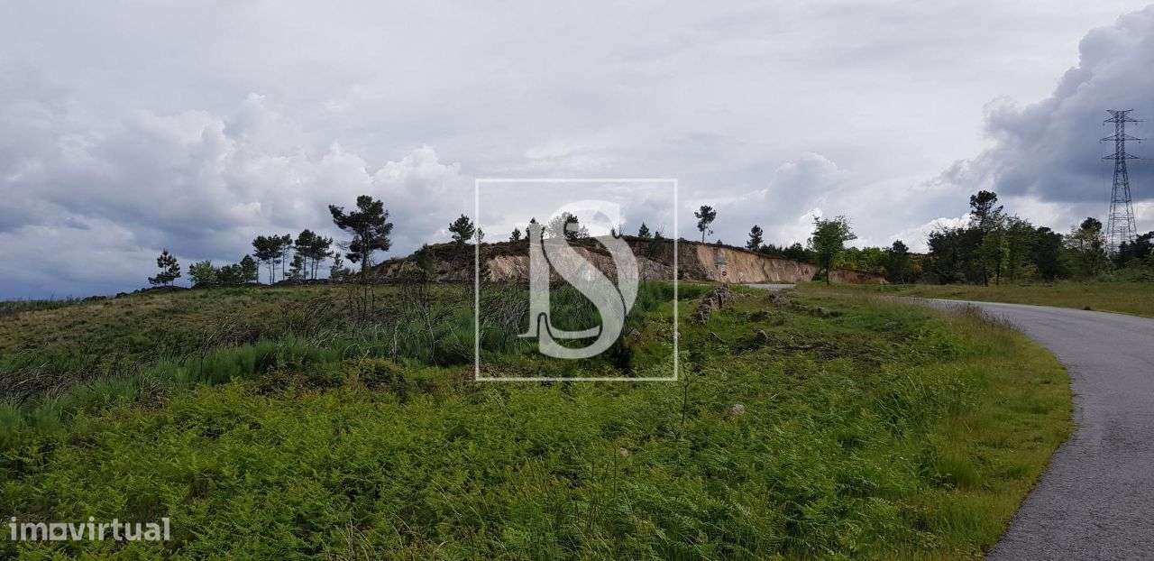 Terreno – S. Lourenço de Ribapinhão - Sabrosa - Grande imagem: 4/13
