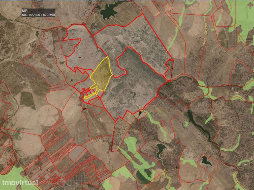 HERDADE EM PORTALEGRE FRONTEIRA - 65 HA COM 4.000 OLIVEIRAS | REGAD... - Grande imagem: 5/8