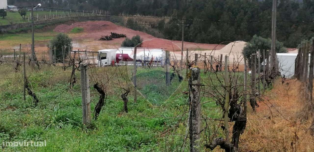 Terreno T0 para Venda - Grande imagem: 5/7